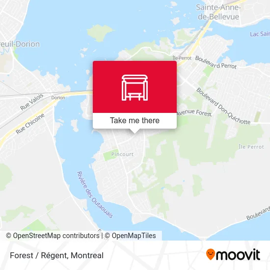 Forest / Régent map