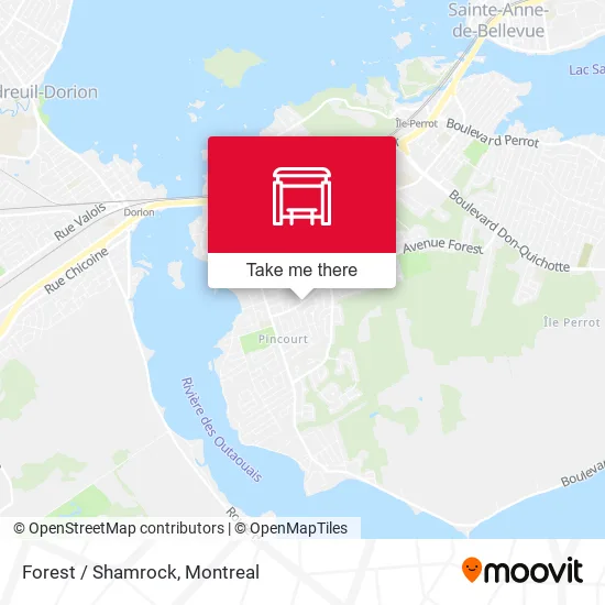 Forest / Shamrock map