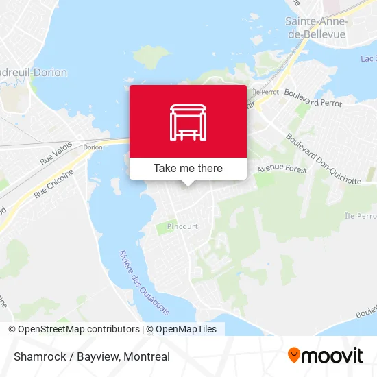 Shamrock / Bayview map