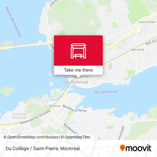 Du Collège / Saint-Pierre map
