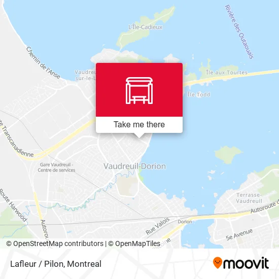Lafleur / Pilon map