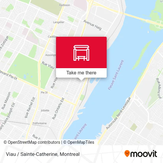 Viau / Sainte-Catherine map