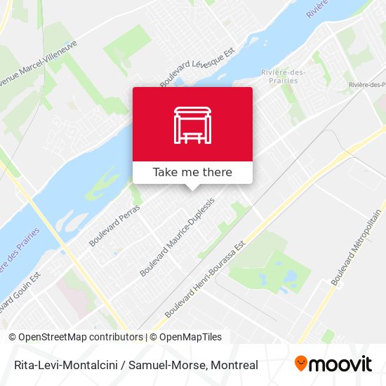 Rita-Levi-Montalcini / Samuel-Morse map