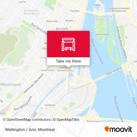 Wellington / Ann map