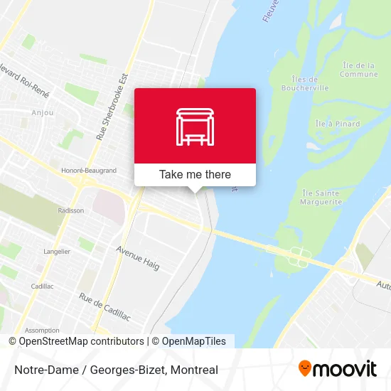 Notre-Dame / Georges-Bizet map