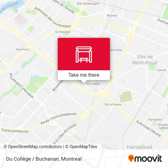Du Collège / Buchanan map