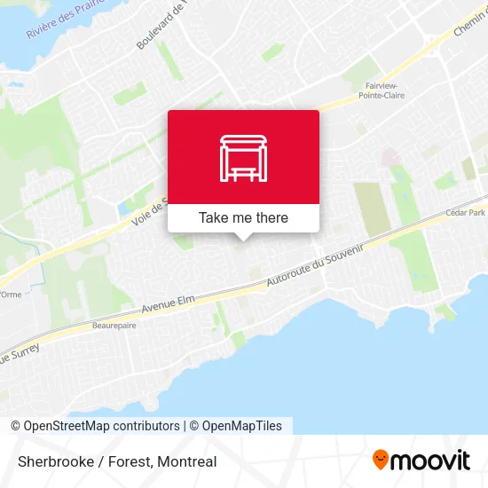 Sherbrooke / Forest map