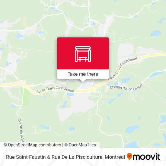 Rue Saint-Faustin & Rue De La Pisciculture map