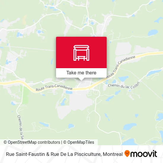 Rue Saint-Faustin & Rue De La Pisciculture map