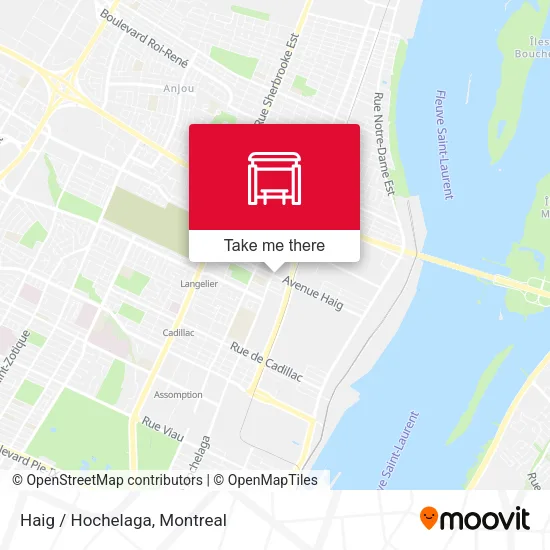 Haig / Hochelaga map