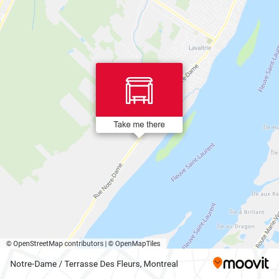 Notre-Dame / Terrasse Des Fleurs map