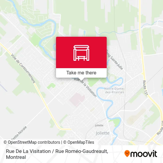 Rue De La Visitation / Rue Roméo-Gaudreault map