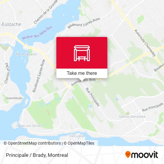 Principale / Brady map