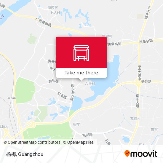 杨梅 map