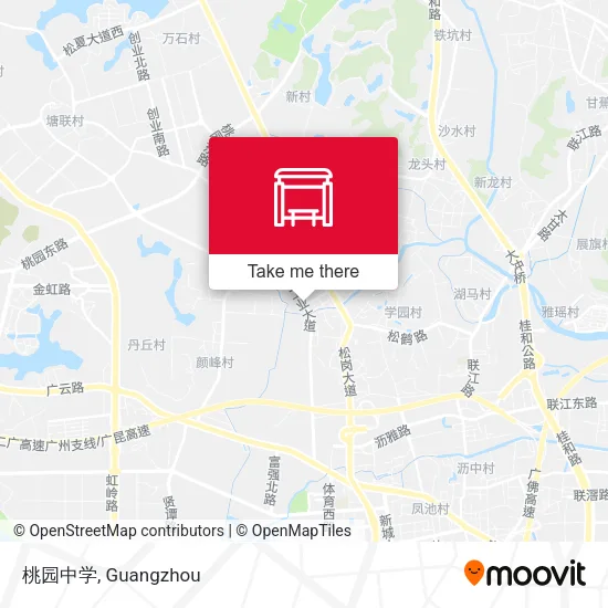 桃园中学 map