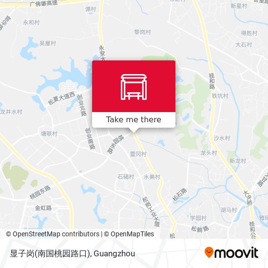 显子岗(南国桃园路口) map