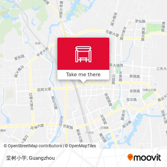 棠树小学 map
