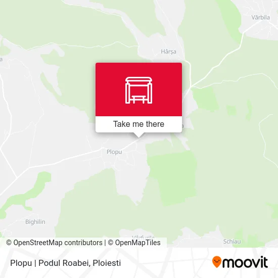 Plopu | Podul Roabei map