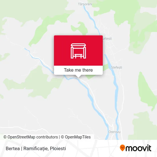 Bertea | Ramificație map
