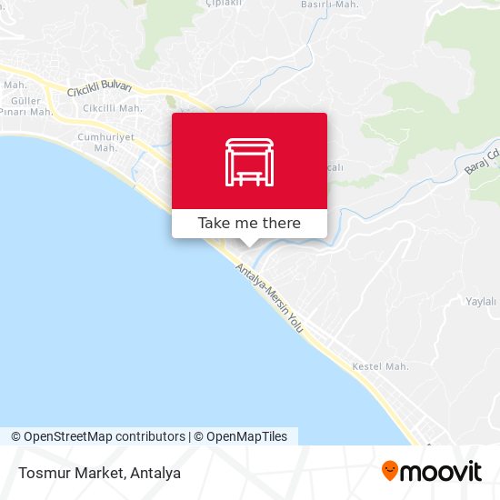 Tosmur Market map