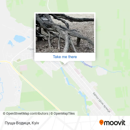 Карта Пуща-Водиця