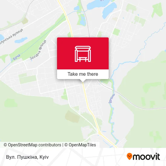 Карта Вул. Пушкіна
