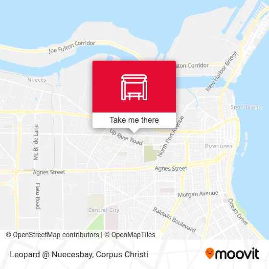 Leopard @ Nuecesbay map