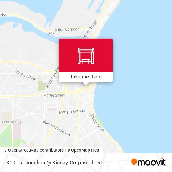 319-Carancahua  @ Kinney map