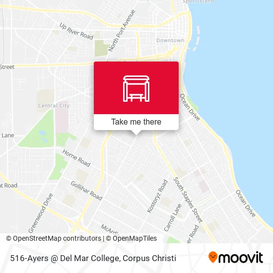 516-Ayers  @  Del Mar College map