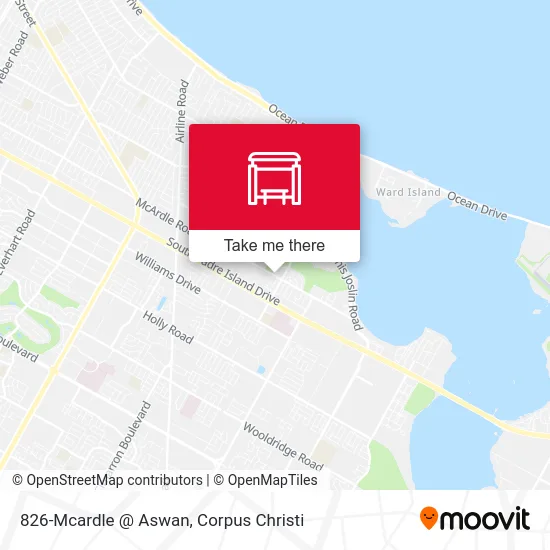 826-Mcardle @ Aswan map