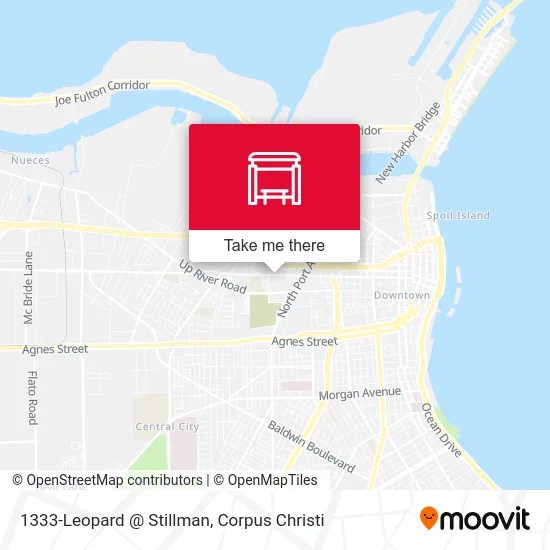 1333-Leopard @ Stillman map