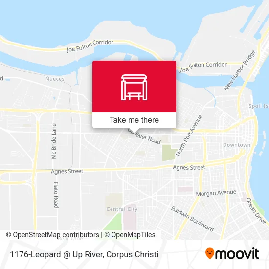 1176-Leopard @ Up River map