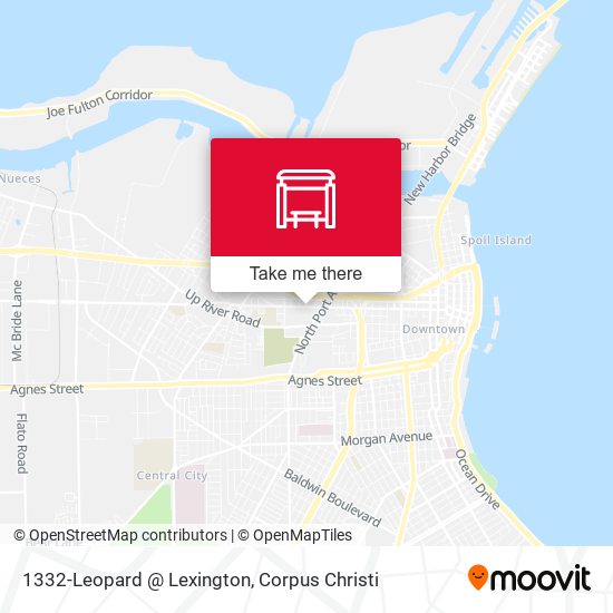 1332-Leopard @ Lexington map