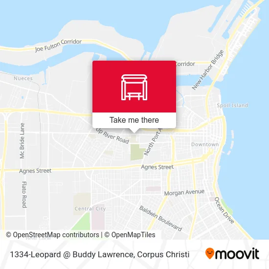 1334-Leopard @ Buddy Lawrence map