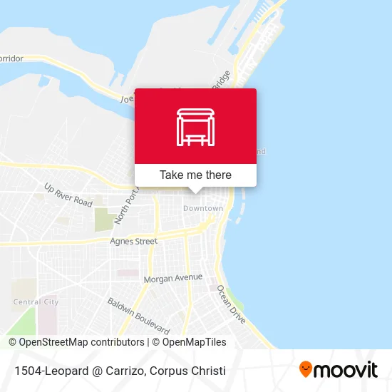 1504-Leopard @ Carrizo map