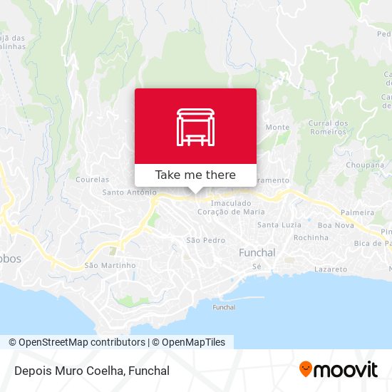 Depois Muro Coelha map