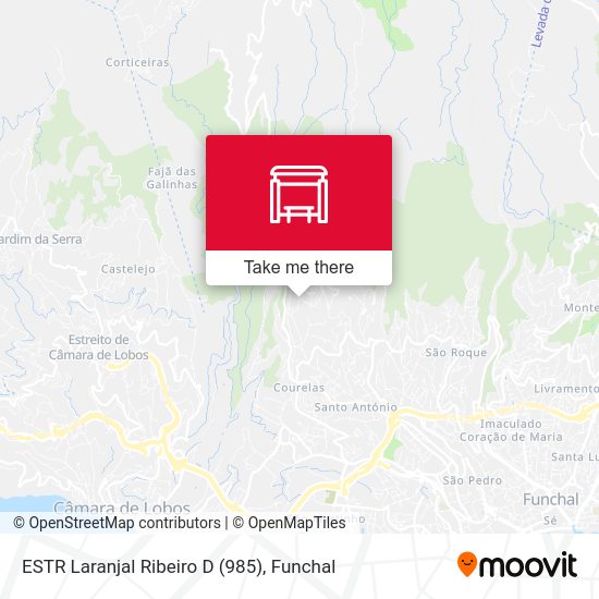 ESTR Laranjal  Ribeiro  D (985) map