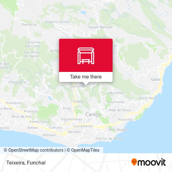 Teixeira map
