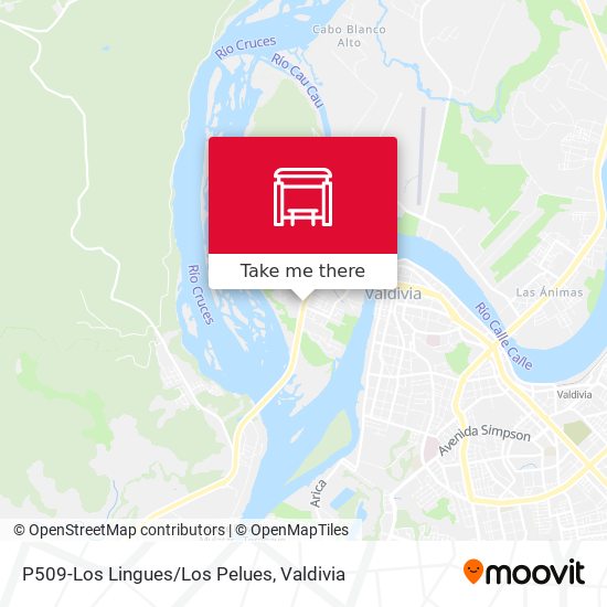 Mapa de P509-Los Lingues/Los Pelues