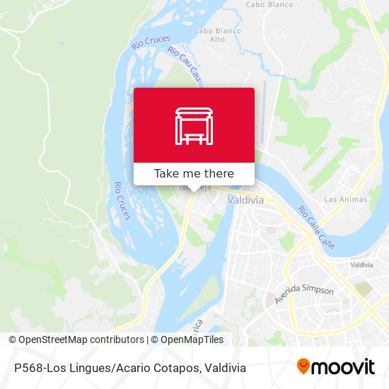 Mapa de P568-Los Lingues / Acario Cotapos