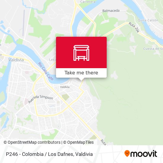Mapa de P246 - Colombia / Los Dafnes