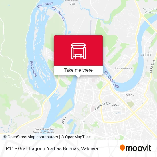 Mapa de P11 - Gral. Lagos / Yerbas Buenas