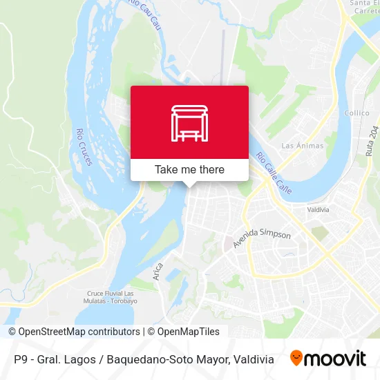 P9 - Gral. Lagos / Baquedano-Soto Mayor map