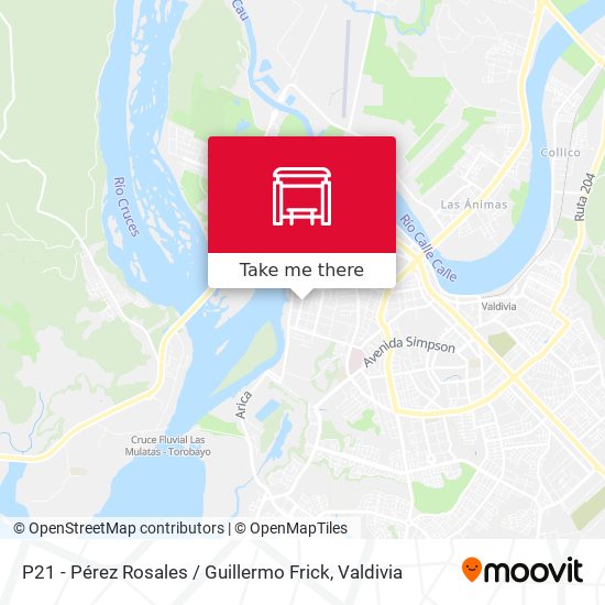 P21 - Pérez Rosales / Guillermo Frick map