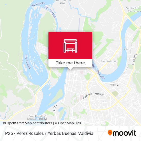 Mapa de P25 - Pérez Rosales / Yerbas Buenas