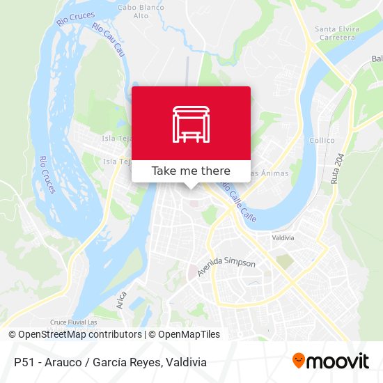 P51 - Arauco / García Reyes map