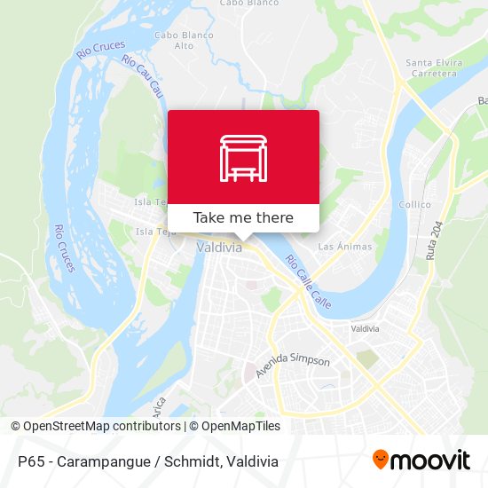 P65 - Carampangue / Schmidt map