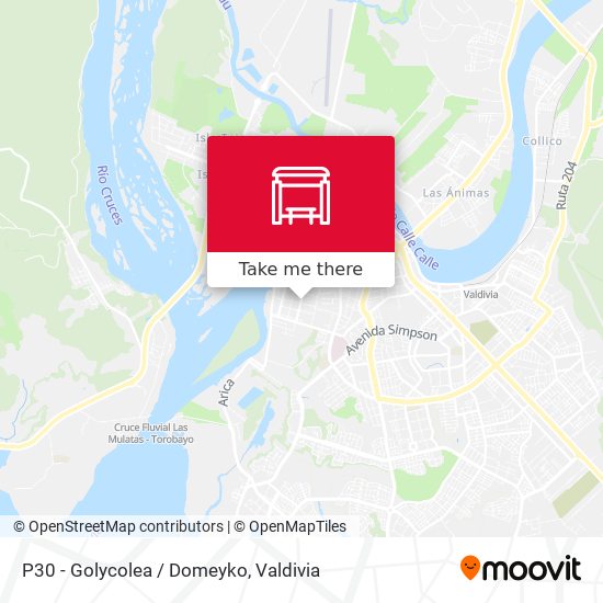 Mapa de P30 - Golycolea / Domeyko