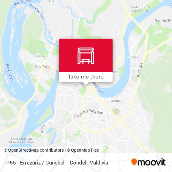 P55 - Errázuriz / Gunckell - Condell map