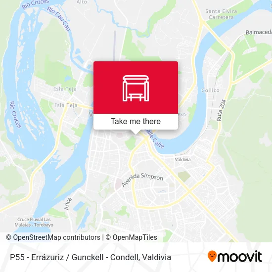 Mapa de P55 - Errázuriz / Gunckell - Condell